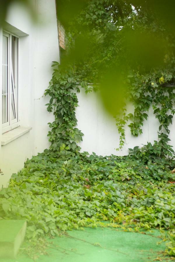 Magic Garden Hostel Kalisz Exterior foto
